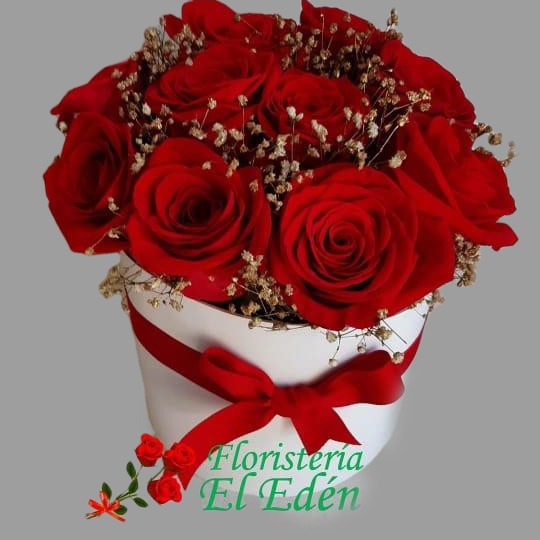 Caja con 12 rosas rojas | Floristería El Edén